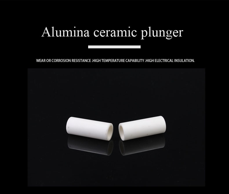 Alumina Ceramics1.jpg