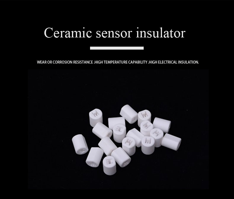 Alumina Ceramics1.jpg